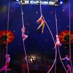 Ilse Bryan, Circus Star USA 2017 performer